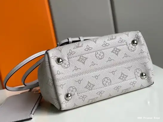 AAA Pruses Bags LOUIS PM VUITTON HINA 0519